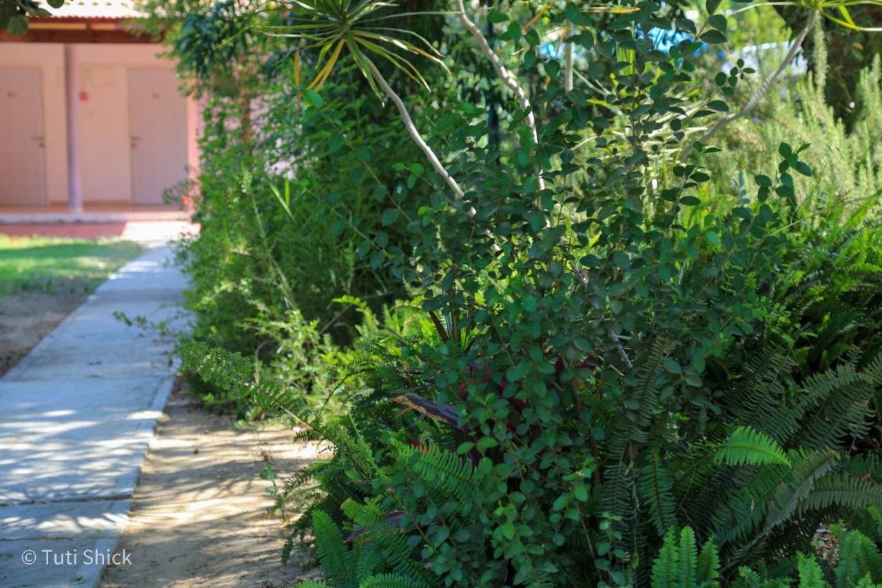 Mandara - Country Lodging Urim Екстер'єр фото